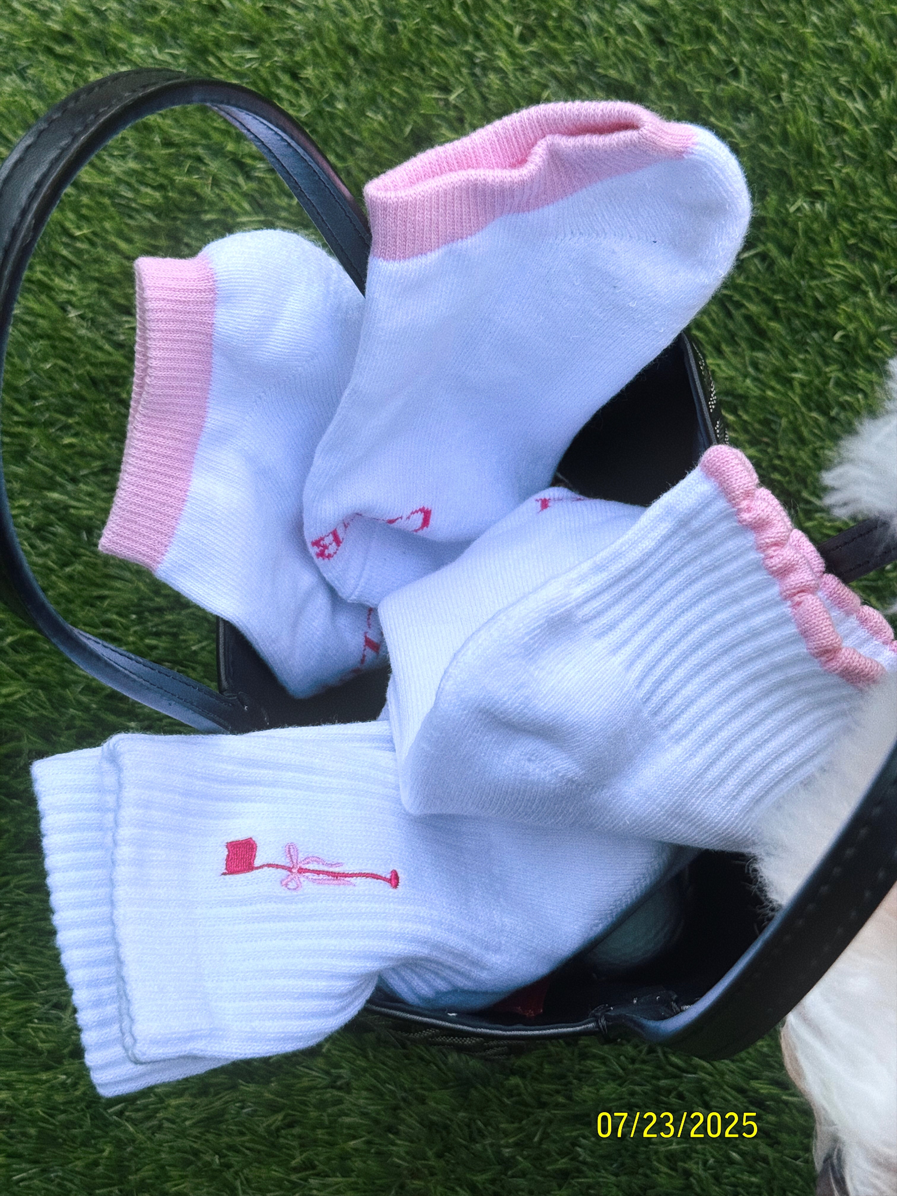 Scallop Edge Crew Socks